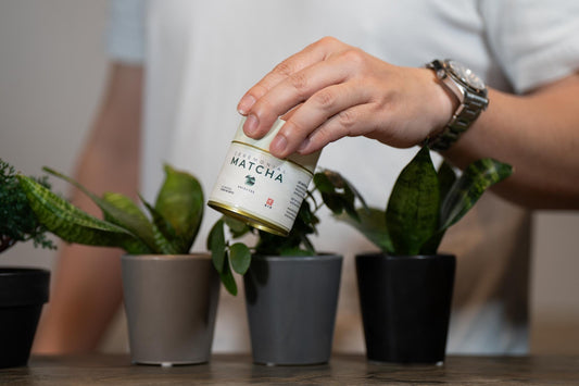 Enjoy-Free-Shipping-on-Orders-Over-75 Shizu Tea