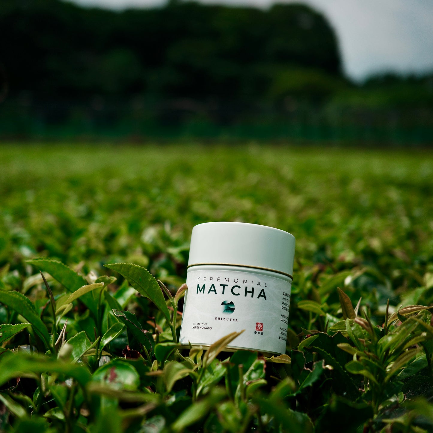 UJI CEREMONIAL MATCHA: HIJIRI NO SATO