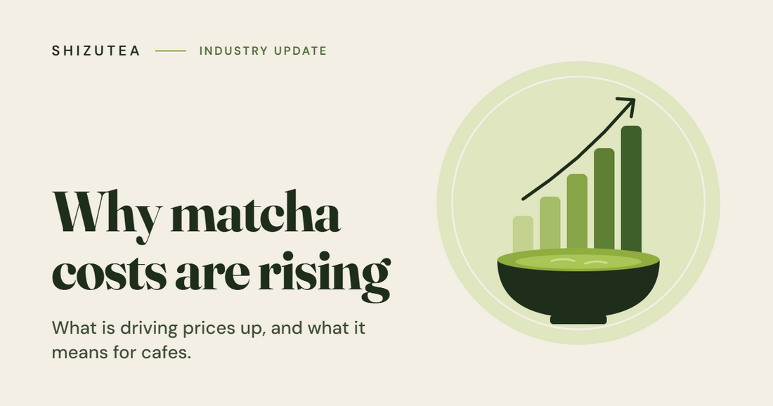 Why Matcha Prices Are Rising, and How Bulk Buyers Can Protect Their Margins