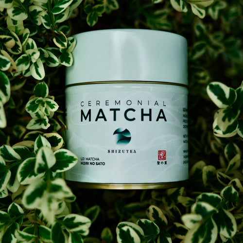 UJI CEREMONIAL MATCHA: HIJIRI NO SATO