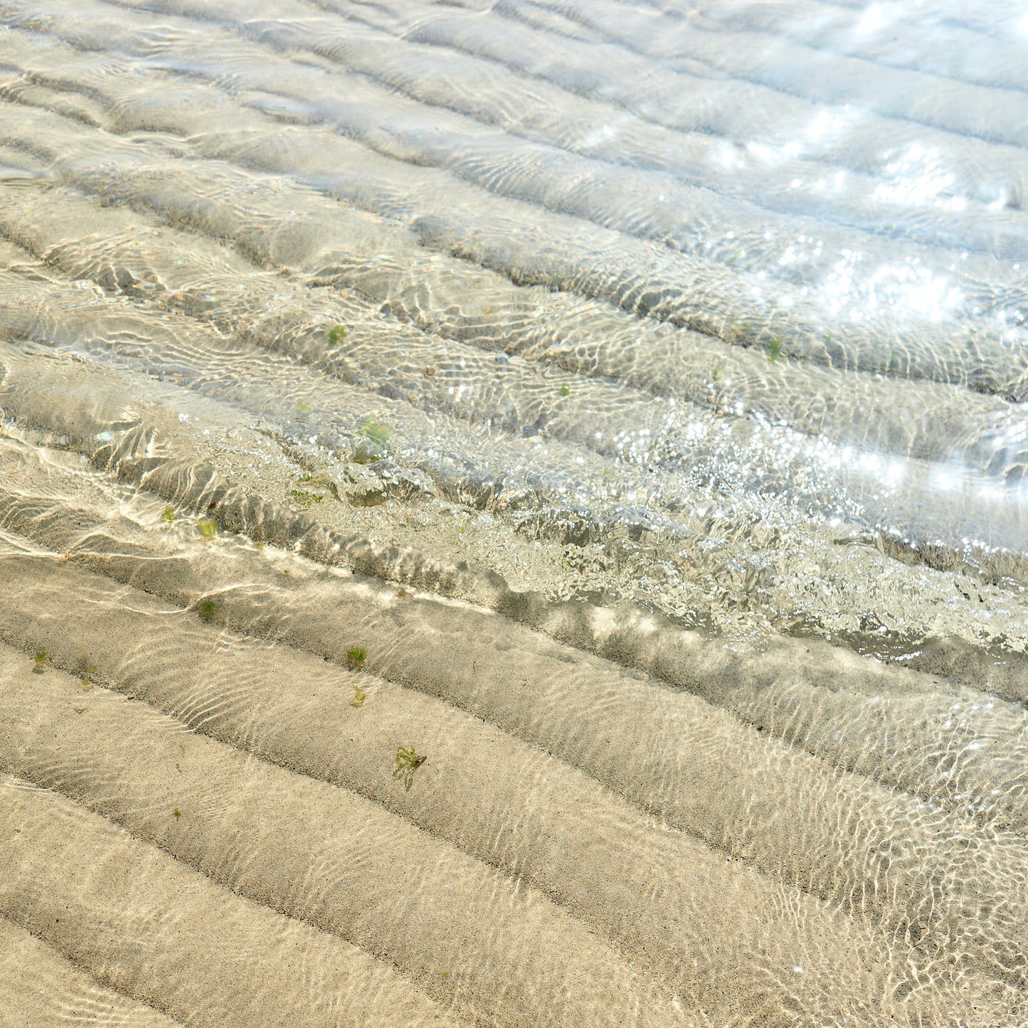 SUMI (澄美) Matcha Bowl + Two Cans of Hijiri no Sato Matcha