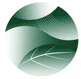 Shizu Tea