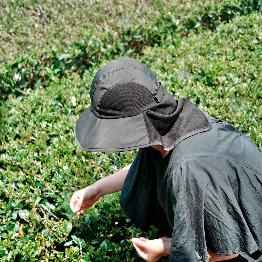 A person examining tea leaves in a field