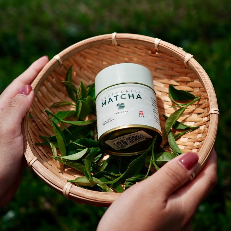 Shizu Tea ceremonial matcha tin with fresh tea leaves in a bamboo basket