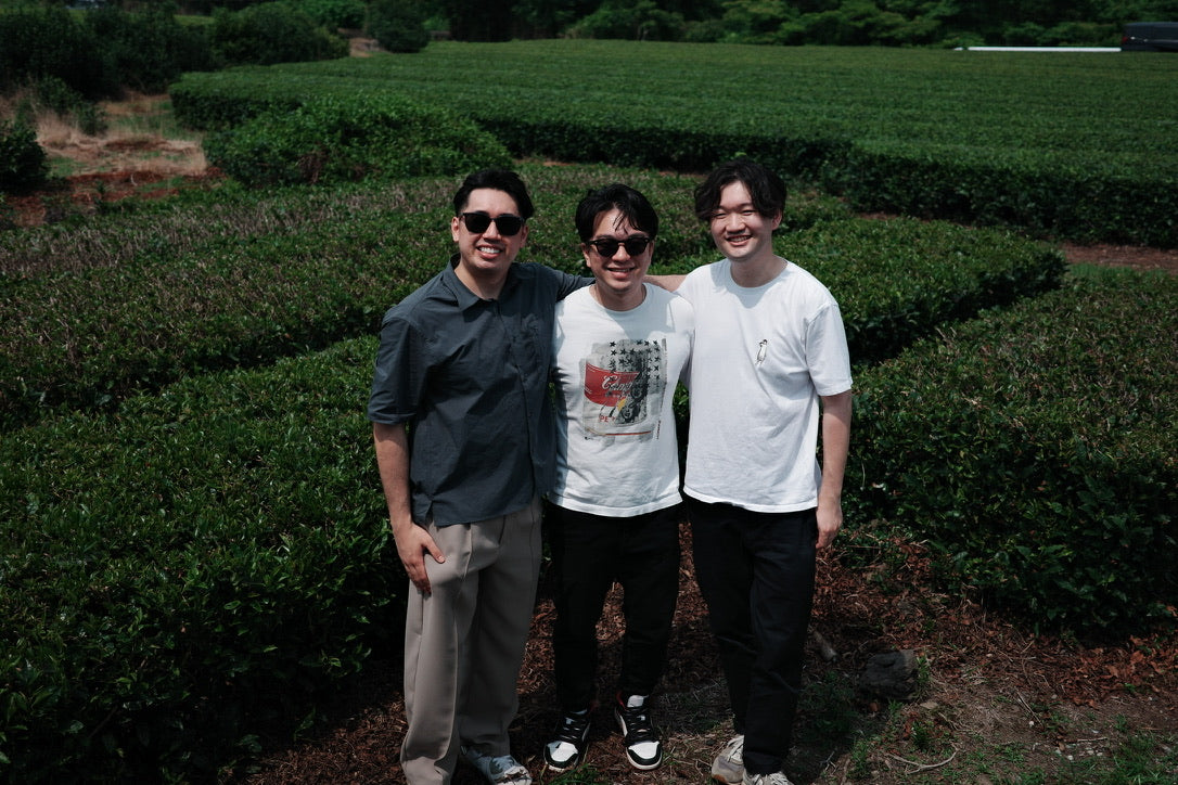 Three people standing among rows of tea plants